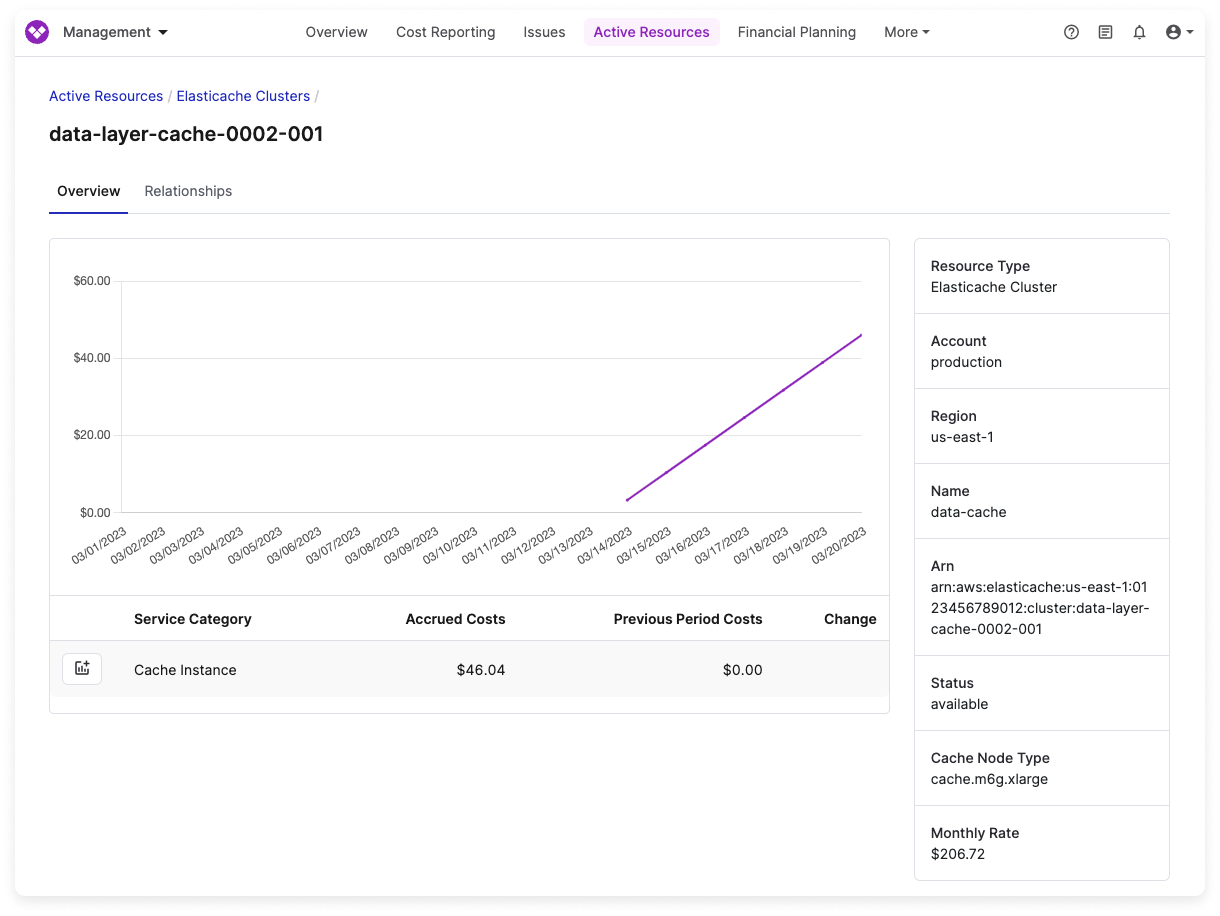 Snowflake Cost Reports