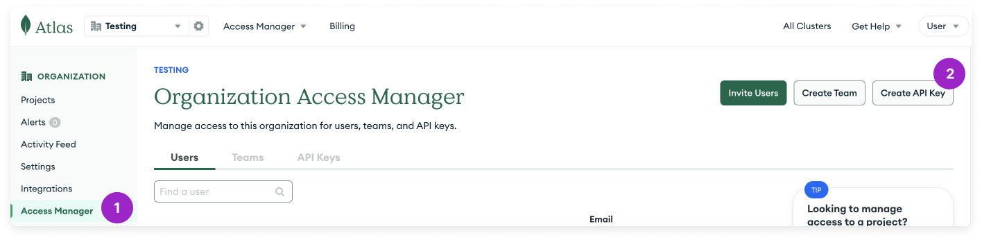 View Access Manager in MongoDB Atlas