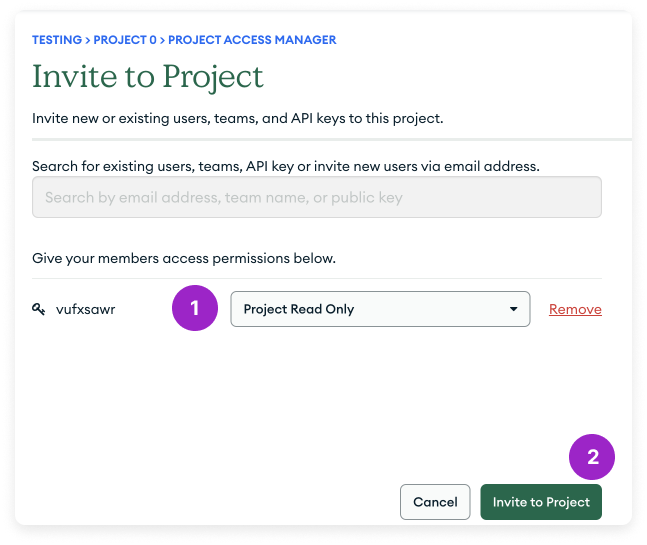 Grant API key read-only access to project