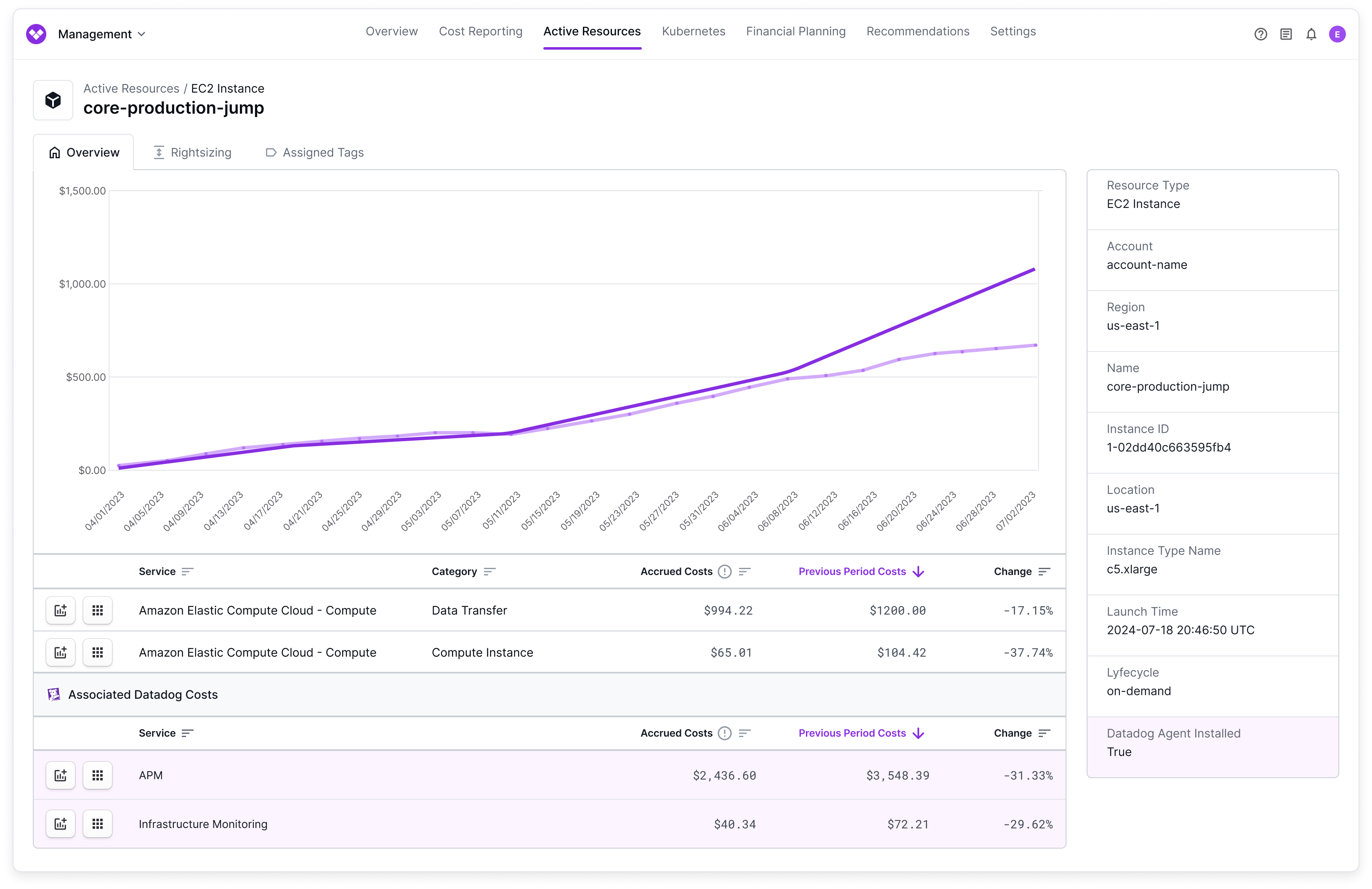 The Associated Datadog Costs section is displayed on an active resource