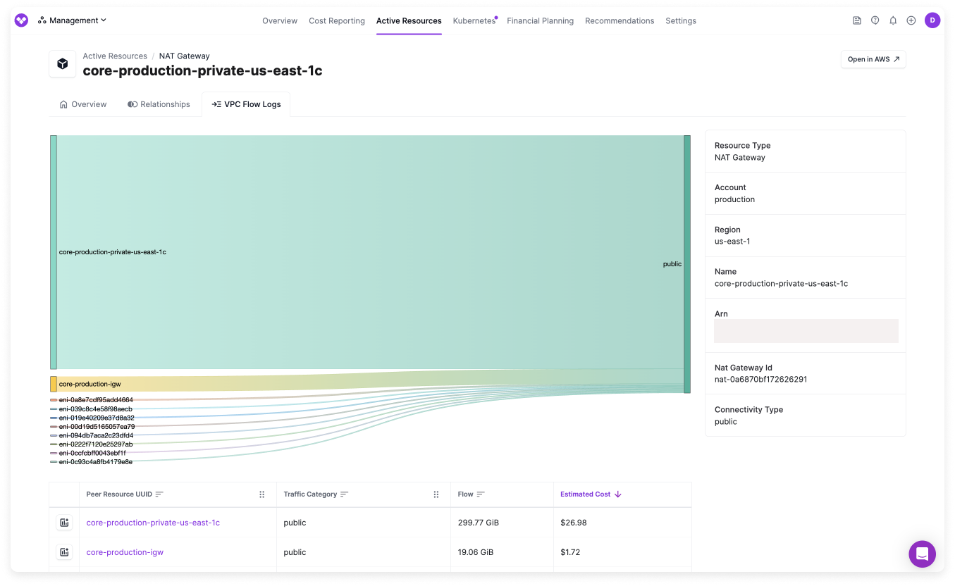 Network Flow Report provider resource view