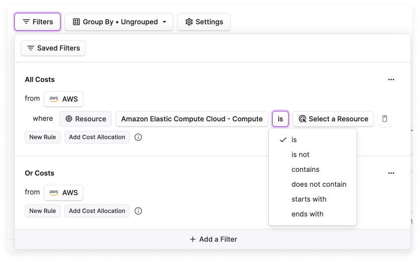 Selecting matching criteria for a filter in a Cost Report