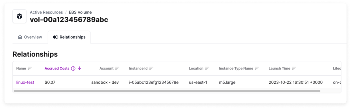 The Relationships tab with an example EBS volume displayed